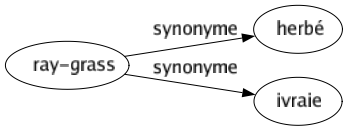 Synonyme de Ray-grass : Herbé Ivraie 