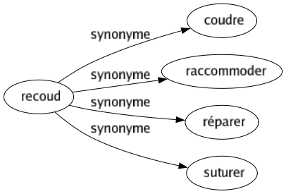 Synonyme de Recoud : Coudre Raccommoder Réparer Suturer 