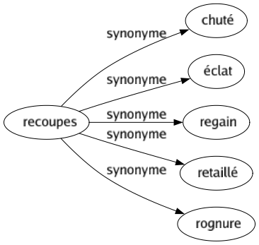 Synonyme de Recoupes : Chuté Éclat Regain Retaillé Rognure 