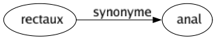 Synonyme de Rectaux : Anal 