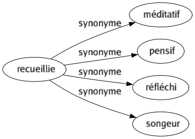 Synonyme de Recueillie : Méditatif Pensif Réfléchi Songeur 