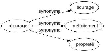 Synonyme de Récurage : Écurage Nettoiement Propreté 