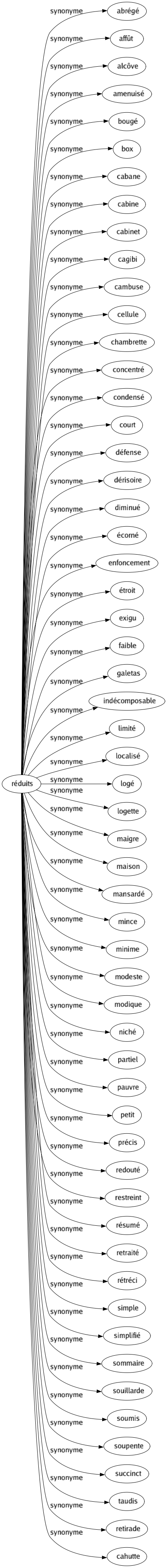 Synonyme de Réduits : Abrégé Affût Alcôve Amenuisé Bougé Box Cabane Cabine Cabinet Cagibi Cambuse Cellule Chambrette Concentré Condensé Court Défense Dérisoire Diminué Écorné Enfoncement Étroit Exigu Faible Galetas Indécomposable Limité Localisé Logé Logette Maigre Maison Mansardé Mince Minime Modeste Modique Niché Partiel Pauvre Petit Précis Redouté Restreint Résumé Retraité Rétréci Simple Simplifié Sommaire Souillarde Soumis Soupente Succinct Taudis Retirade Cahutte 