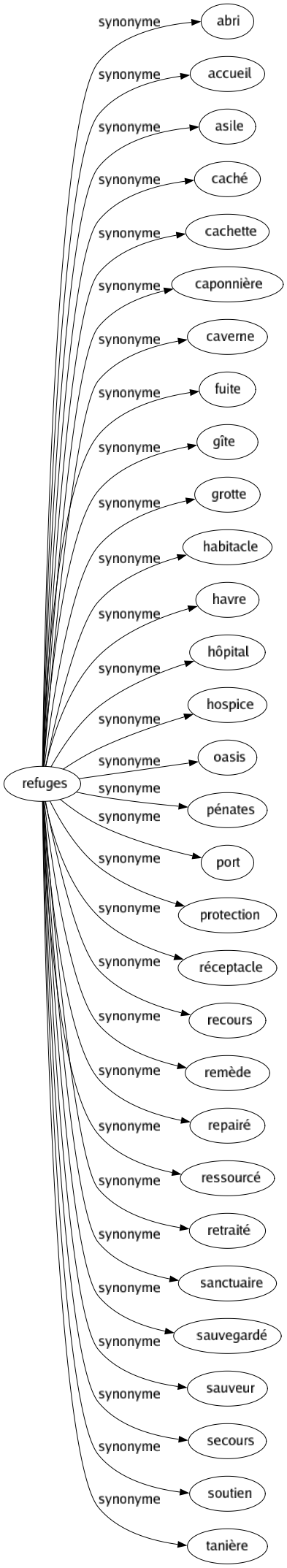 Synonyme de Refuges : Abri Accueil Asile Caché Cachette Caponnière Caverne Fuite Gîte Grotte Habitacle Havre Hôpital Hospice Oasis Pénates Port Protection Réceptacle Recours Remède Repairé Ressourcé Retraité Sanctuaire Sauvegardé Sauveur Secours Soutien Tanière 