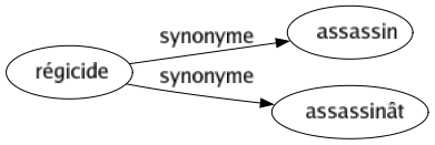 Synonyme de Régicide : Assassin Assassinât 