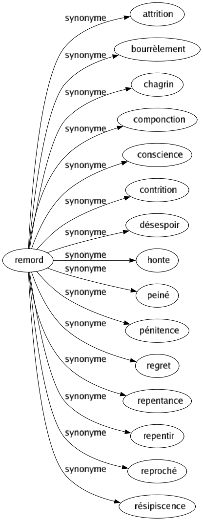 Synonyme de Remord : Attrition Bourrèlement Chagrin Componction Conscience Contrition Désespoir Honte Peiné Pénitence Regret Repentance Repentir Reproché Résipiscence 