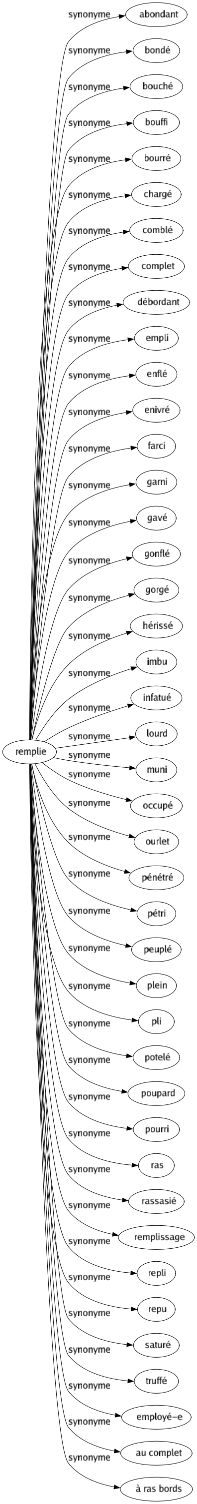 Synonyme de Remplie : Abondant Bondé Bouché Bouffi Bourré Chargé Comblé Complet Débordant Empli Enflé Enivré Farci Garni Gavé Gonflé Gorgé Hérissé Imbu Infatué Lourd Muni Occupé Ourlet Pénétré Pétri Peuplé Plein Pli Potelé Poupard Pourri Ras Rassasié Remplissage Repli Repu Saturé Truffé Employé-e Au complet À ras bords 