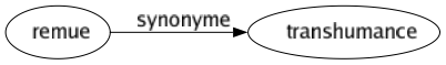 Synonyme de Remue : Transhumance 