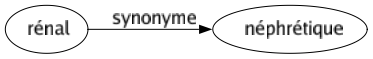 Synonyme de Rénal : Néphrétique 