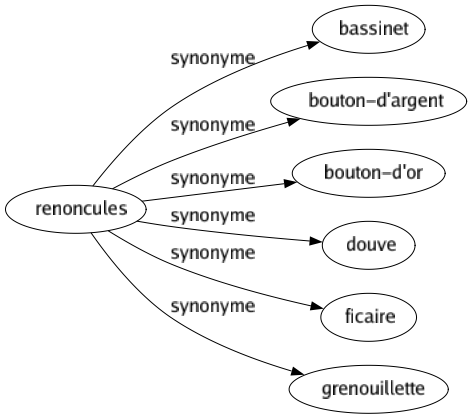 Synonyme de Renoncules : Bassinet Bouton-d'argent Bouton-d'or Douve Ficaire Grenouillette 