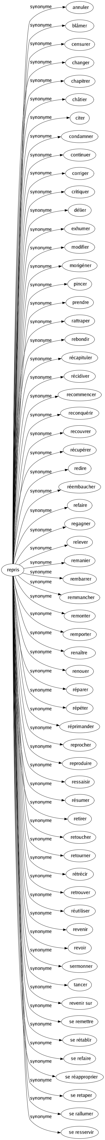 Synonyme de Repris : Annuler Blâmer Censurer Changer Chapitrer Châtier Citer Condamner Continuer Corriger Critiquer Délier Exhumer Modifier Morigéner Pincer Prendre Rattraper Rebondir Récapituler Récidiver Recommencer Reconquérir Recouvrer Récupérer Redire Réembaucher Refaire Regagner Relever Remanier Rembarrer Remmancher Remonter Remporter Renaître Renouer Réparer Répéter Réprimander Reprocher Reproduire Ressaisir Résumer Retirer Retoucher Retourner Rétrécir Retrouver Réutiliser Revenir Revoir Sermonner Tancer Revenir sur Se remettre Se rétablir Se refaire Se réapproprier Se retaper Se rallumer Se resservir 