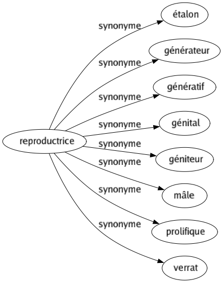 Synonyme de Reproductrice : Étalon Générateur Génératif Génital Géniteur Mâle Prolifique Verrat 