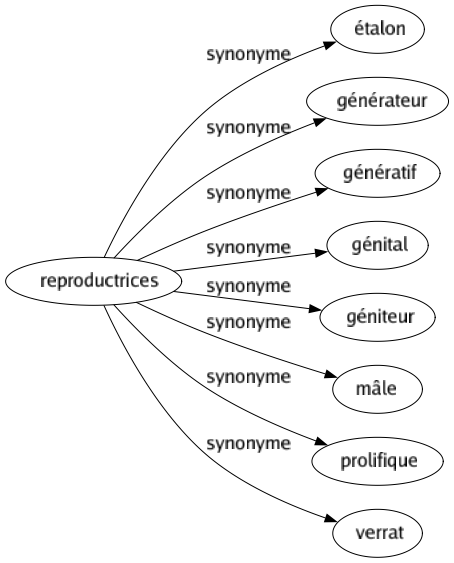 Synonyme de Reproductrices : Étalon Générateur Génératif Génital Géniteur Mâle Prolifique Verrat 