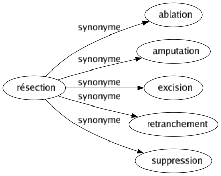 Synonyme de Résection : Ablation Amputation Excision Retranchement Suppression 