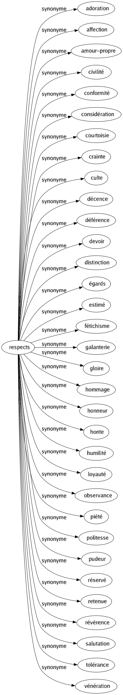 Synonyme de Respects : Adoration Affection Amour-propre Civilité Conformité Considération Courtoisie Crainte Culte Décence Déférence Devoir Distinction Égards Estimé Fétichisme Galanterie Gloire Hommage Honneur Honte Humilité Loyauté Observance Piété Politesse Pudeur Réservé Retenue Révérence Salutation Tolérance Vénération 