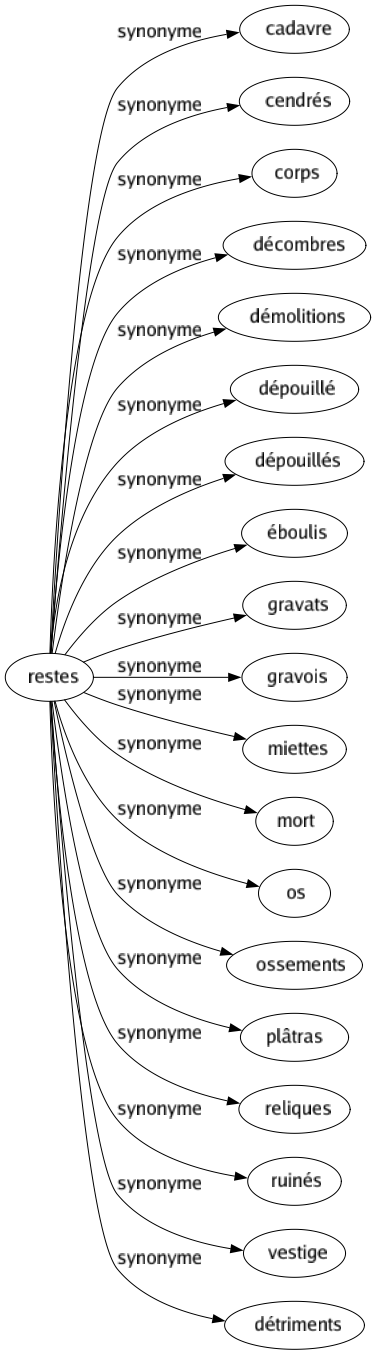 Synonyme de Restes : Cadavre Cendrés Corps Décombres Démolitions Dépouillé Dépouillés Éboulis Gravats Gravois Miettes Mort Os Ossements Plâtras Reliques Ruinés Vestige Détriments 