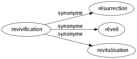 Synonyme de Revivification : Résurrection Réveil Revitalisation 