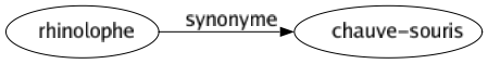Synonyme de Rhinolophe : Chauve-souris 