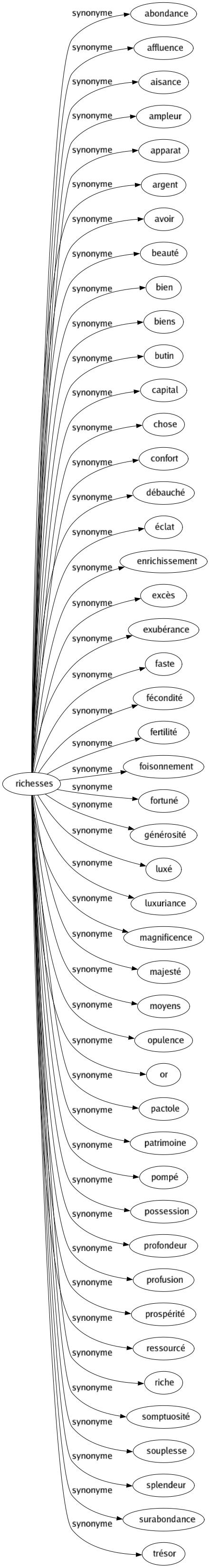 Synonyme de Richesses : Abondance Affluence Aisance Ampleur Apparat Argent Avoir Beauté Bien Biens Butin Capital Chose Confort Débauché Éclat Enrichissement Excès Exubérance Faste Fécondité Fertilité Foisonnement Fortuné Générosité Luxé Luxuriance Magnificence Majesté Moyens Opulence Or Pactole Patrimoine Pompé Possession Profondeur Profusion Prospérité Ressourcé Riche Somptuosité Souplesse Splendeur Surabondance Trésor 