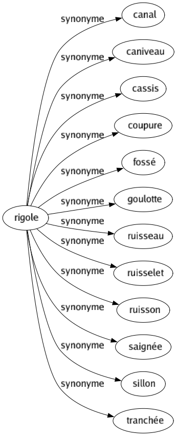 Synonyme de Rigole : Canal Caniveau Cassis Coupure Fossé Goulotte Ruisseau Ruisselet Ruisson Saignée Sillon Tranchée 