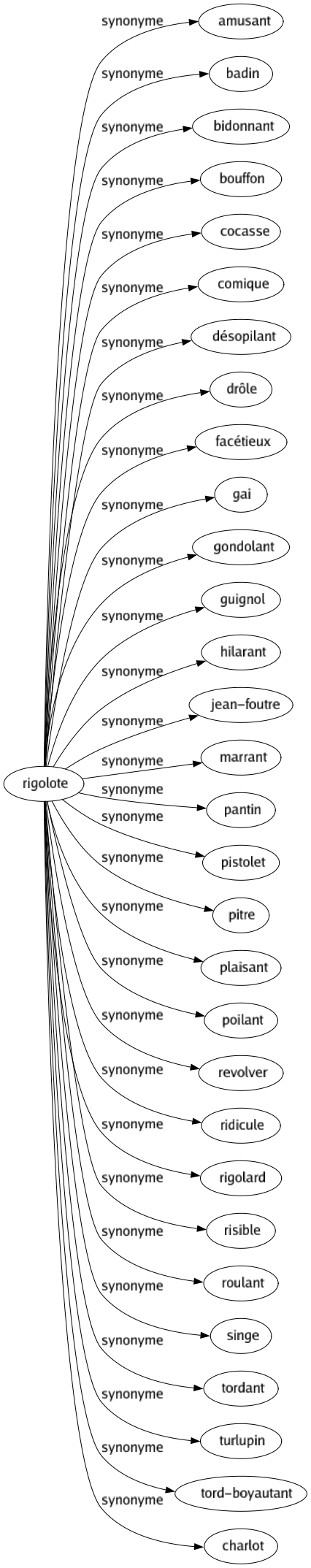 Synonyme de Rigolote : Amusant Badin Bidonnant Bouffon Cocasse Comique Désopilant Drôle Facétieux Gai Gondolant Guignol Hilarant Jean-foutre Marrant Pantin Pistolet Pitre Plaisant Poilant Revolver Ridicule Rigolard Risible Roulant Singe Tordant Turlupin Tord-boyautant Charlot 