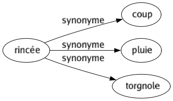 Synonyme de Rincée : Coup Pluie Torgnole 