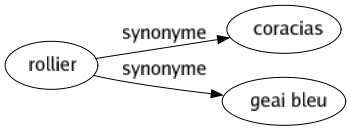 Synonyme de Rollier : Coracias Geai bleu 