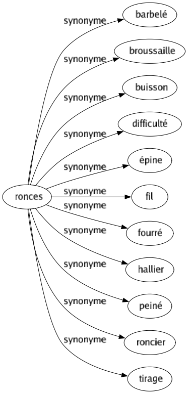 Synonyme de Ronces : Barbelé Broussaille Buisson Difficulté Épine Fil Fourré Hallier Peiné Roncier Tirage 