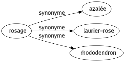 Synonyme de Rosage : Azalée Laurier-rose Rhododendron 