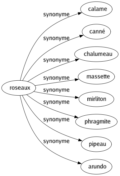 Synonyme de Roseaux : Calame Canné Chalumeau Massette Mirliton Phragmite Pipeau Arundo 