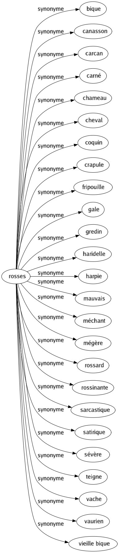 Synonyme de Rosses : Bique Canasson Carcan Carné Chameau Cheval Coquin Crapule Fripouille Gale Gredin Haridelle Harpie Mauvais Méchant Mégère Rossard Rossinante Sarcastique Satirique Sévère Teigne Vache Vaurien Vieille bique 