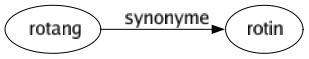 Synonyme de Rotang : Rotin 