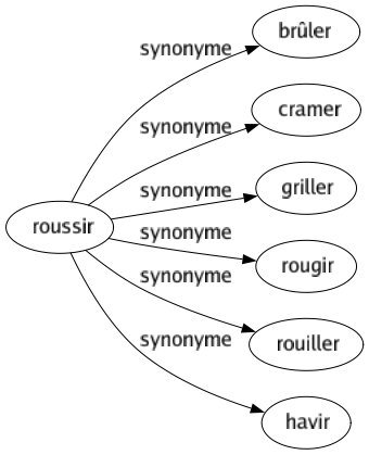 Synonyme de Roussir : Brûler Cramer Griller Rougir Rouiller Havir 