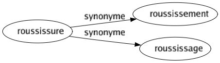 Synonyme de Roussissure : Roussissement Roussissage 