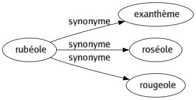 Synonyme de Rubéole : Exanthème Roséole Rougeole 