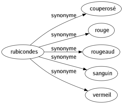 Synonyme de Rubicondes : Couperosé Rouge Rougeaud Sanguin Vermeil 