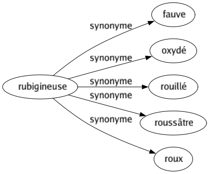 Synonyme de Rubigineuse : Fauve Oxydé Rouillé Roussâtre Roux 