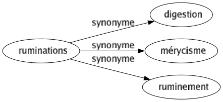 Synonyme de Ruminations : Digestion Mérycisme Ruminement 