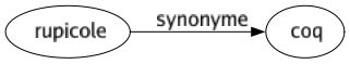 Synonyme de Rupicole : Coq 