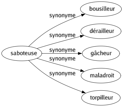 Synonyme de Saboteuse : Bousilleur Dérailleur Gâcheur Maladroit Torpilleur 