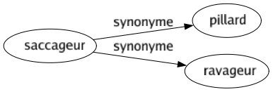 Synonyme de Saccageur : Pillard Ravageur 