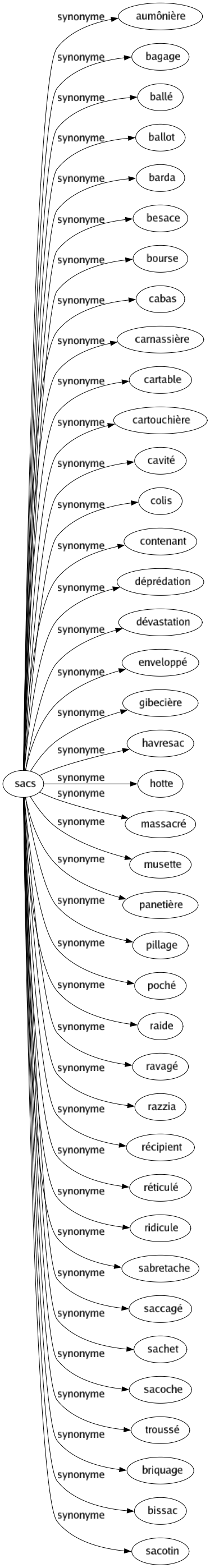 Synonyme de Sacs : Aumônière Bagage Ballé Ballot Barda Besace Bourse Cabas Carnassière Cartable Cartouchière Cavité Colis Contenant Déprédation Dévastation Enveloppé Gibecière Havresac Hotte Massacré Musette Panetière Pillage Poché Raide Ravagé Razzia Récipient Réticulé Ridicule Sabretache Saccagé Sachet Sacoche Troussé Briquage Bissac Sacotin 