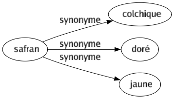 Synonyme de Safran : Colchique Doré Jaune 