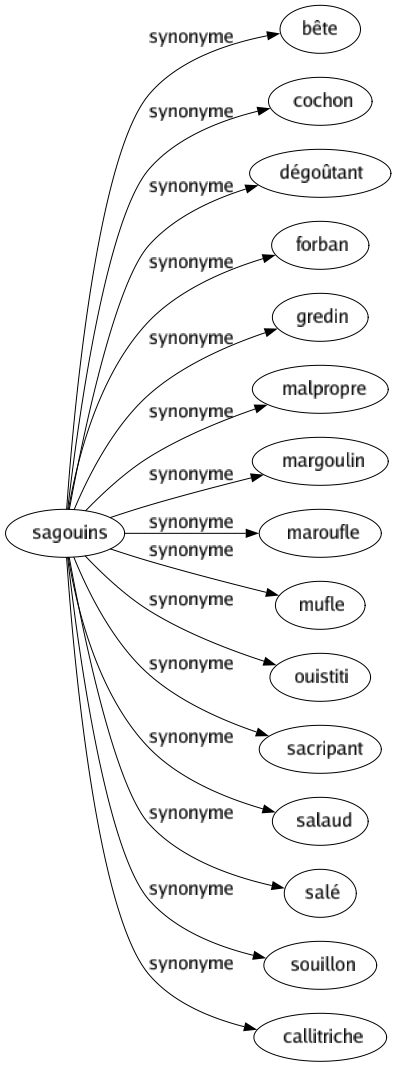 Synonyme de Sagouins : Bête Cochon Dégoûtant Forban Gredin Malpropre Margoulin Maroufle Mufle Ouistiti Sacripant Salaud Salé Souillon Callitriche 