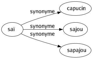 Synonyme de Saï : Capucin Sajou Sapajou 