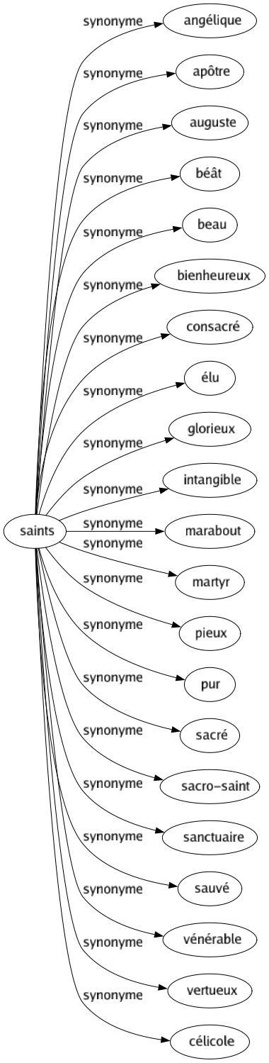 Synonyme de Saints : Angélique Apôtre Auguste Béât Beau Bienheureux Consacré Élu Glorieux Intangible Marabout Martyr Pieux Pur Sacré Sacro-saint Sanctuaire Sauvé Vénérable Vertueux Célicole 