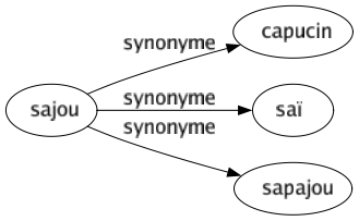 Synonyme de Sajou : Capucin Saï Sapajou 