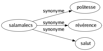 Synonyme de Salamalecs : Politesse Révérence Salut 