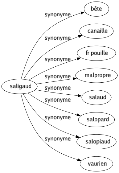 Synonyme de Saligaud : Bête Canaille Fripouille Malpropre Salaud Salopard Salopiaud Vaurien 