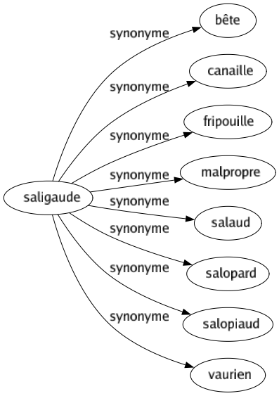 Synonyme de Saligaude : Bête Canaille Fripouille Malpropre Salaud Salopard Salopiaud Vaurien 